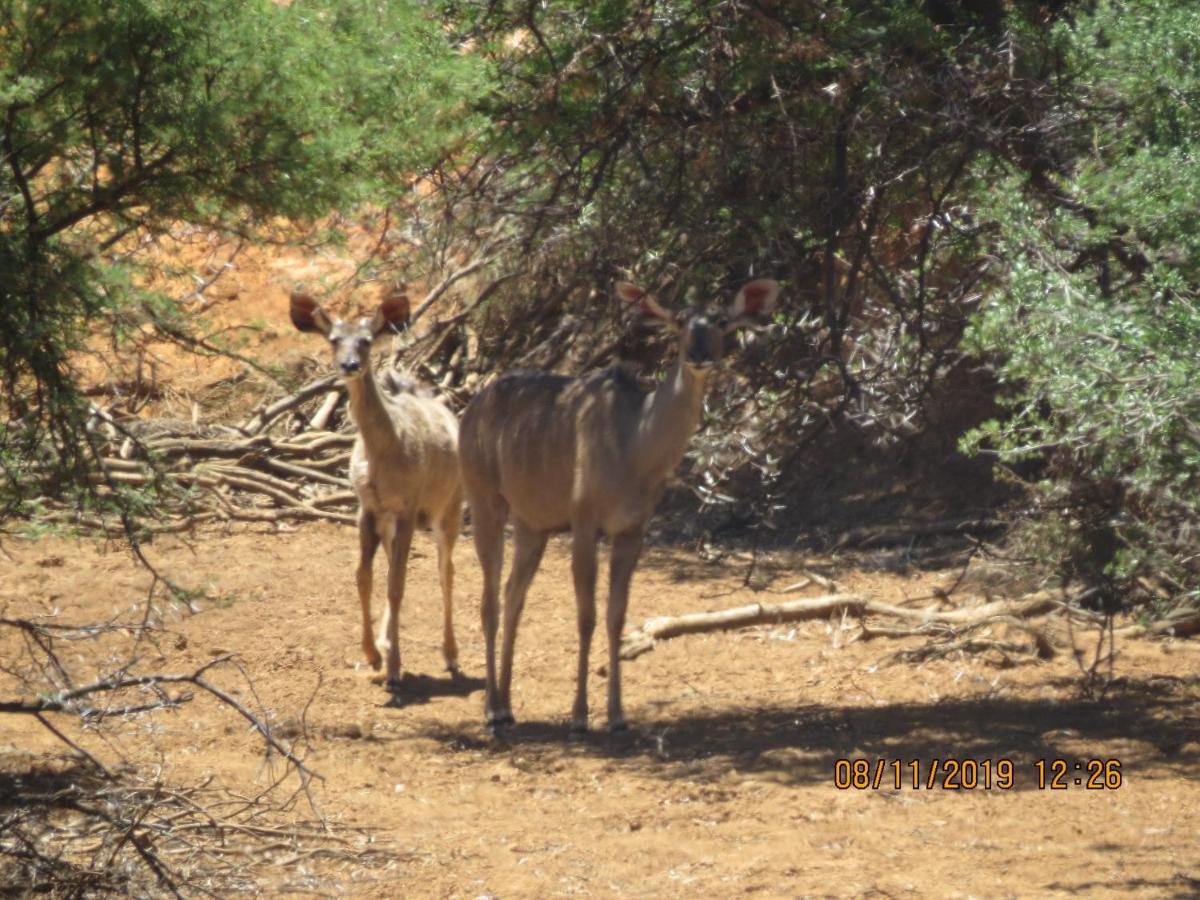 Linduli Farmstay Cradock Luaran gambar
